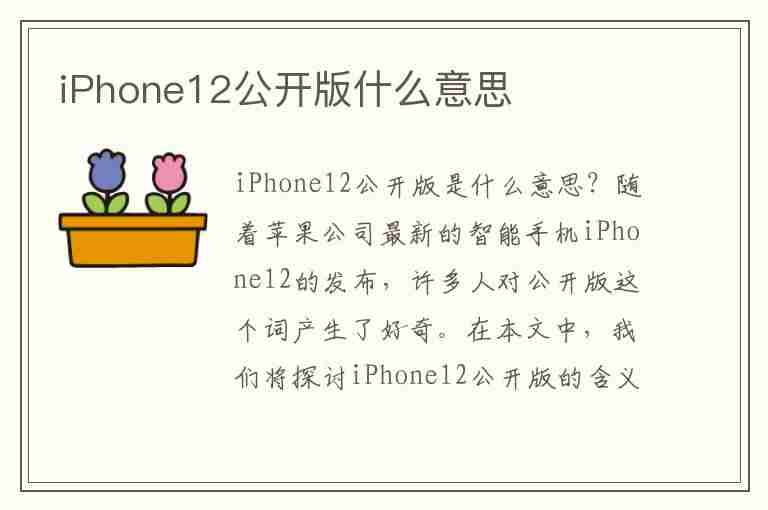 iPhone12公开版什么意思